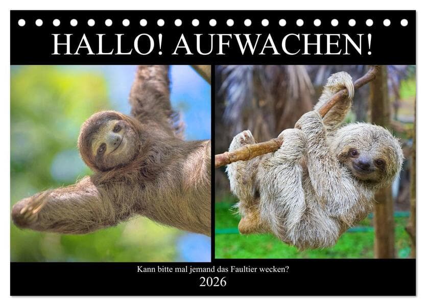 Hallo! Aufwachen! Kann bitte mal jemand das Faultier wecken? (Tischkalender 2026 DIN A5 quer), CALVENDO Monatskalender