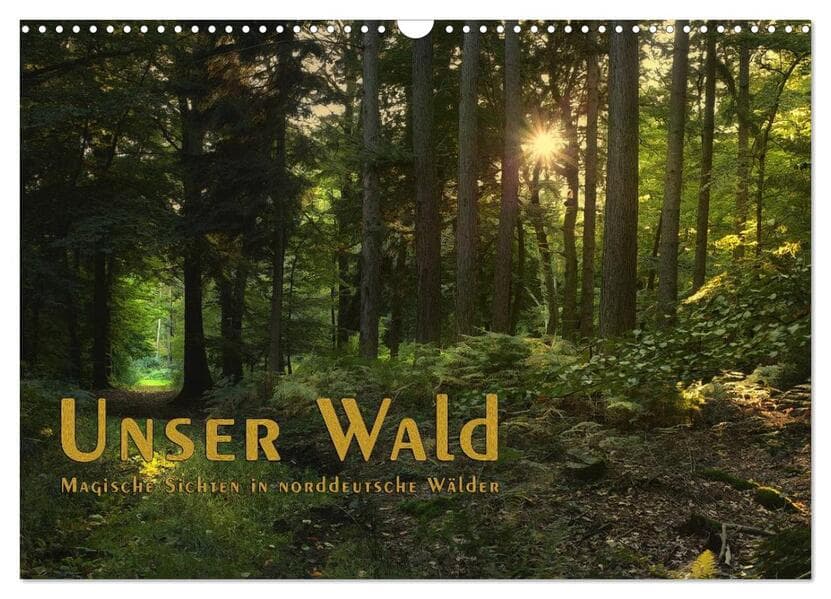 Unser Wald - Magische Sichten in norddeutsche Wälder / Geburtstagskalender (Wandkalender 2026 DIN A3 quer), CALVENDO Monatskalender
