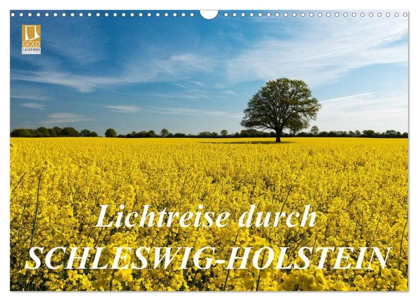 Lichtreise durch Schleswig-Holstein (Wandkalender 2026 DIN A3 quer), CALVENDO Monatskalender