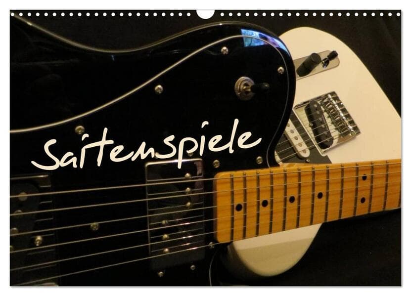 SAITENSPIELE (Wandkalender 2026 DIN A3 quer), CALVENDO Monatskalender