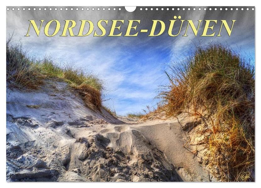 Nordsee-Dünen (Wandkalender 2026 DIN A3 quer), CALVENDO Monatskalender