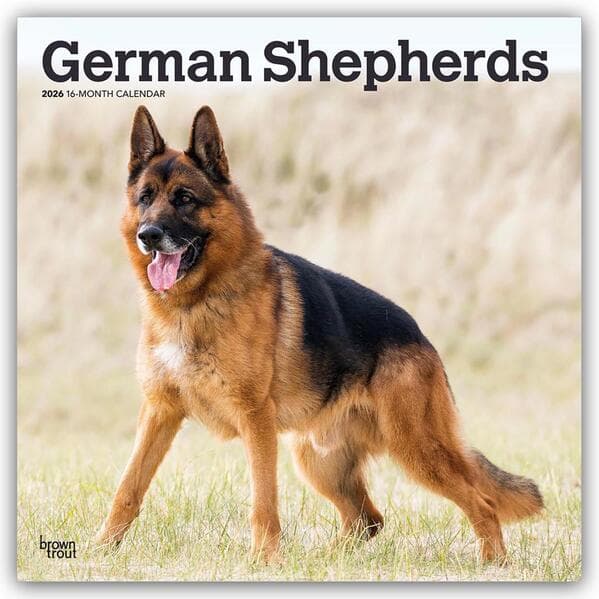 German Shepherds - Deutsche Schäferhunde 2026 - 16-Monatskalender