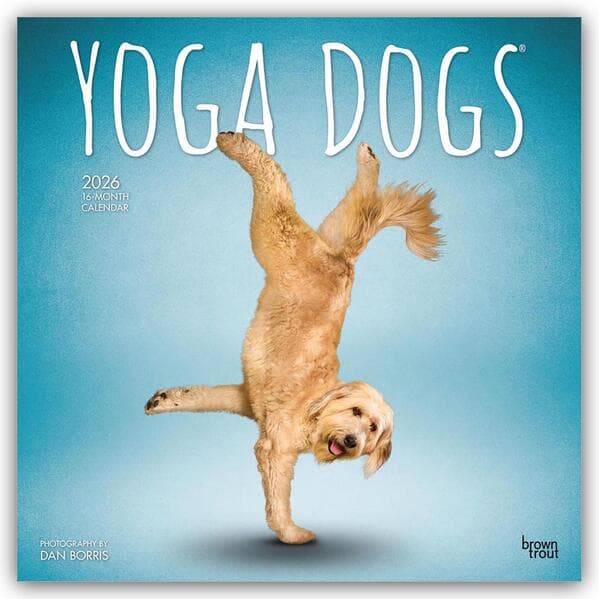 Yoga Dogs - Hunde Yoga 2026 - 16-Monatskalender
