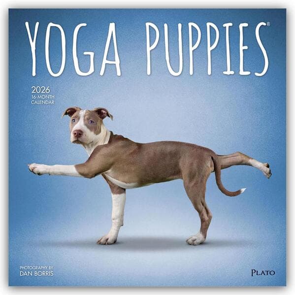 Yoga Puppies - Welpen Yoga 2026 - 16-Monatskalender