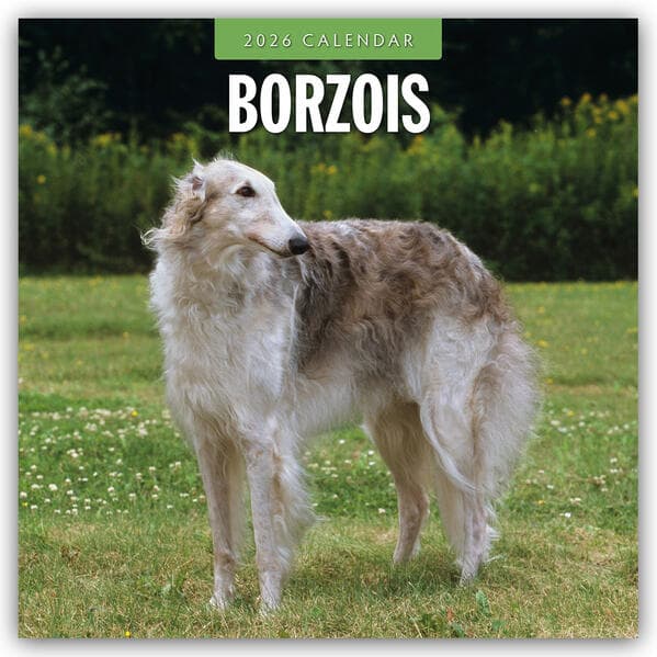 Borzois 2026 Square Wall Calendar