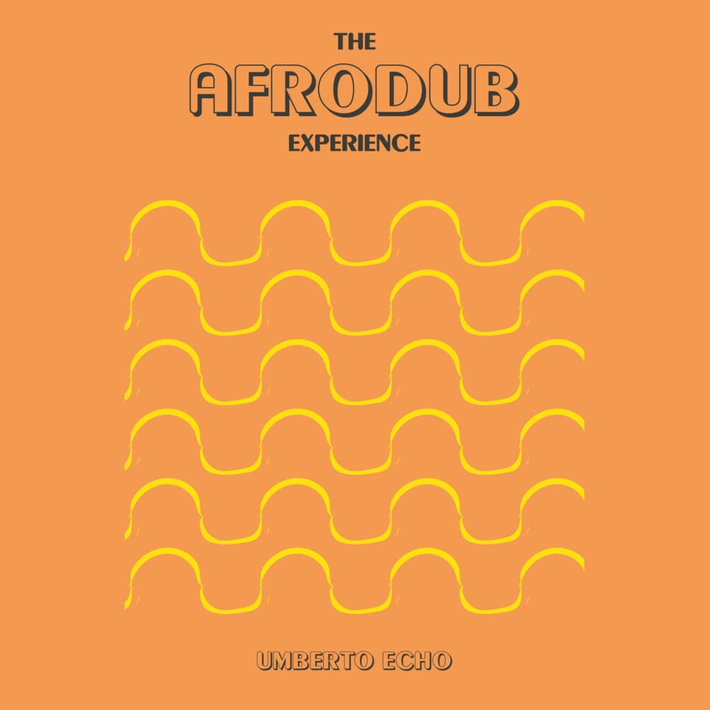 The Afrodub Experience