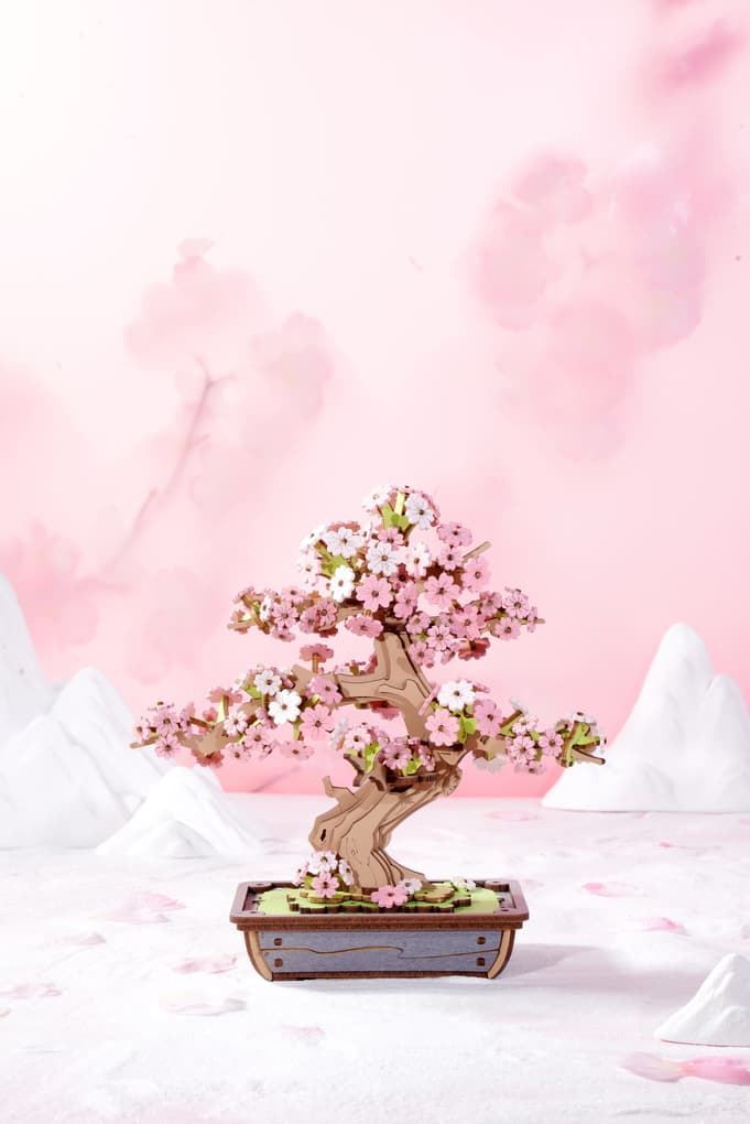 Sakura Bonsai