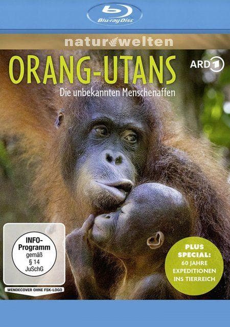 Orang-Utans - Die unbekannten Menschenaffen + Plus Special: 60 Jahre Expeditionen ins Tierreich