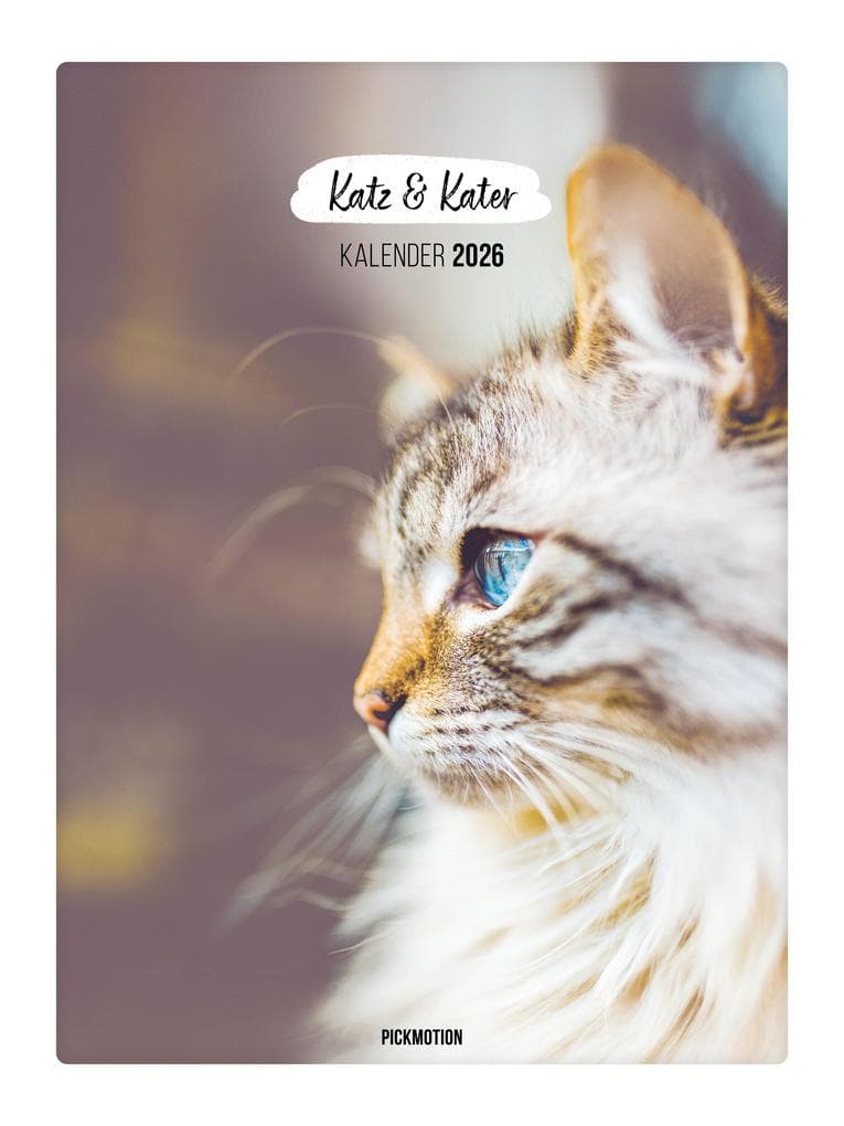 Wandkalender 2026 - Katz & Kater