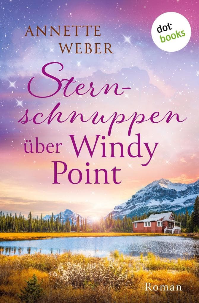 Sternschnuppen über Windy Point