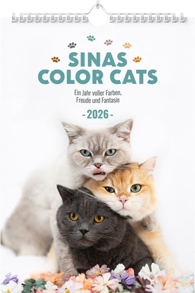 Sinas Color Cats - Ein Jahr voller Farben, Freude und Fantasie