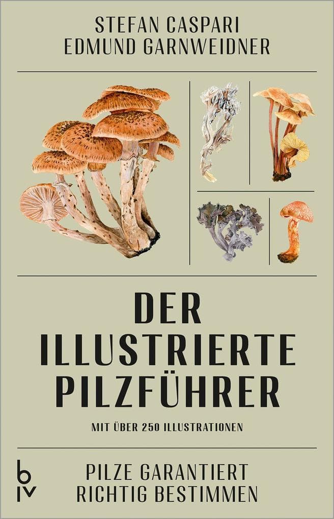 Der illustrierte Pilzführer