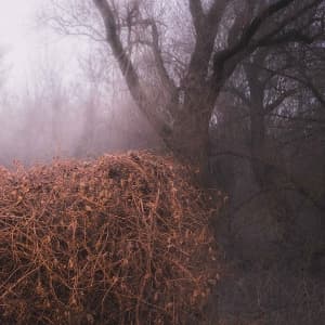 Nincs Szennyezetlen Szp (Ltd Your Pieces Scattere