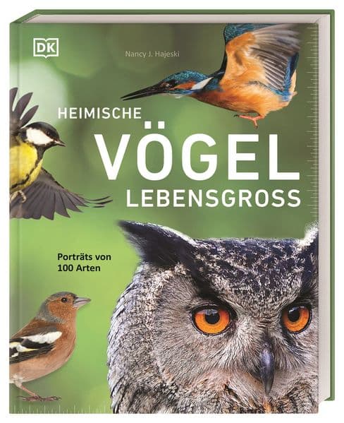 Heimische Vögel lebensgroß: Porträts von 100 Arten. Umfassendes Vogel-Buch mit faszinierenden Fotos von Vögeln in Originalgröße