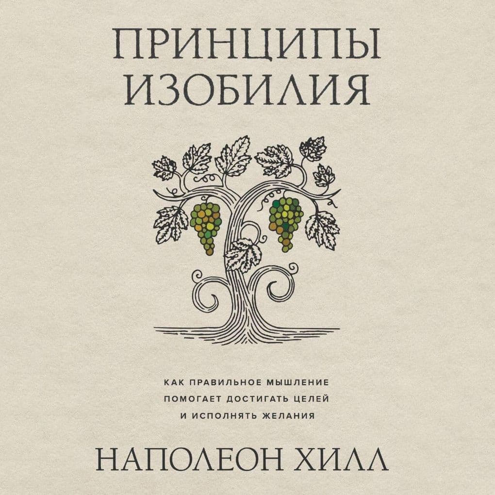 Printsipy izobiliya. Kak pravilnoe myshlenie pomogaet dostigat tseley i ispolnyat zhelaniya