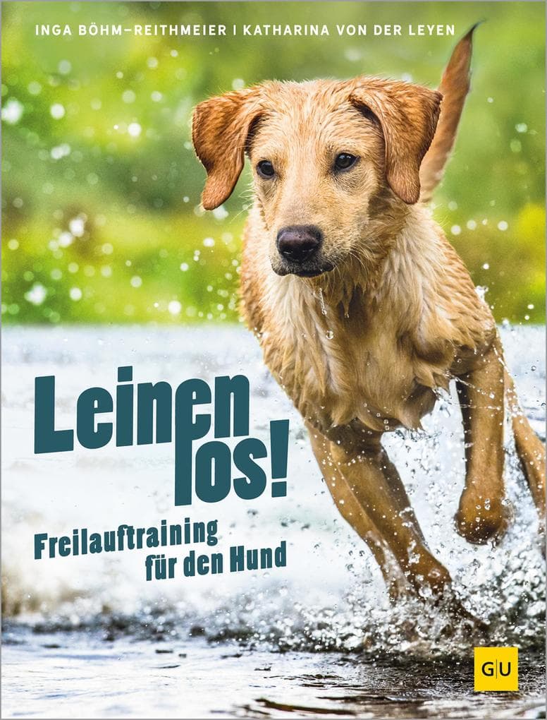 Leinen los! Freilauftraining für den Hund