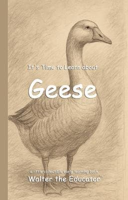 It's Time to Learn about Geese