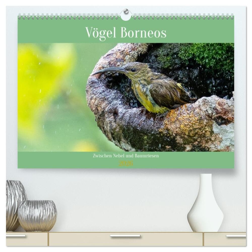 Zwischen Nebel und Baumriesen - Vögel Borneos (hochwertiger Premium Wandkalender 2026 DIN A2 quer),