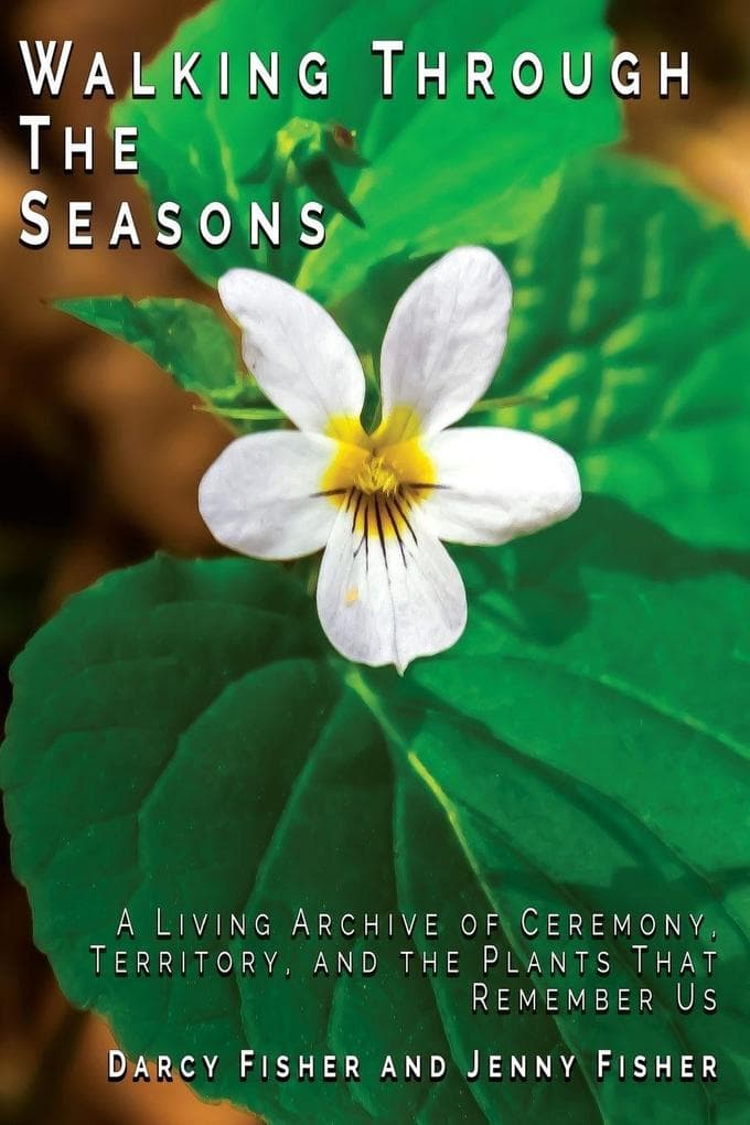 Walking Through The Seasons