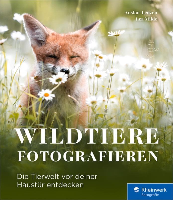 Wildtiere fotografieren
