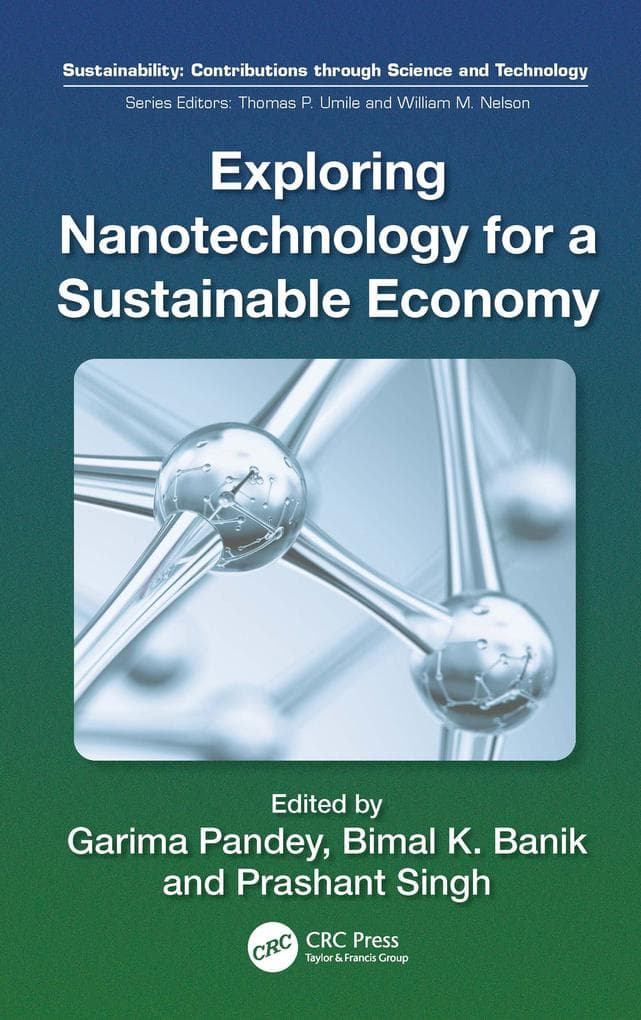 Exploring Nanotechnology for a Sustainable Economy