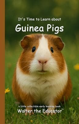 It's Time to Learn about Guinea Pigs
