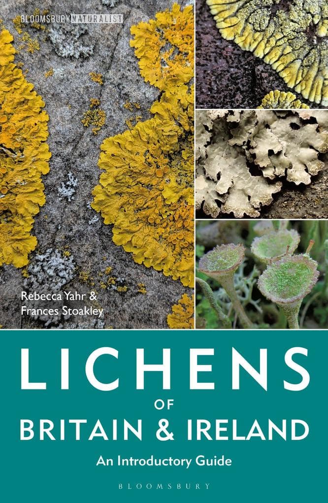 Lichens of Britain and Ireland