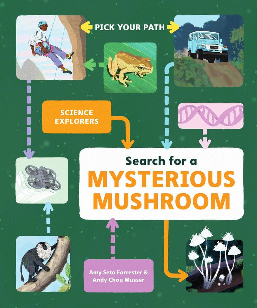 Search for a Mysterious Mushroom