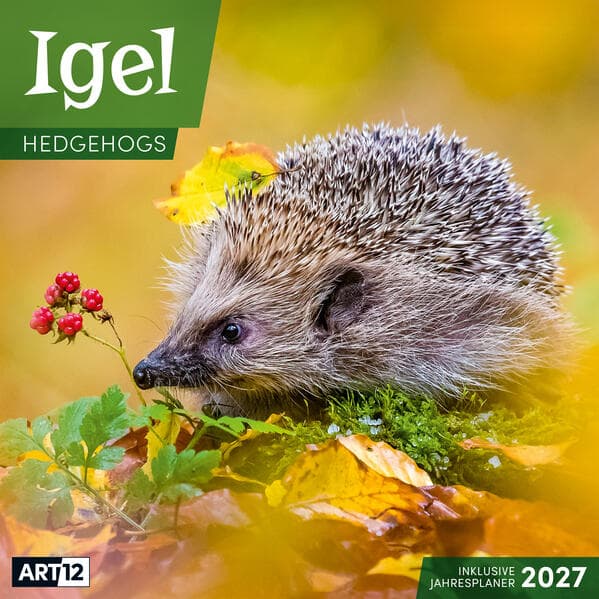 Igel Kalender 2027 - 30x30 - Art12