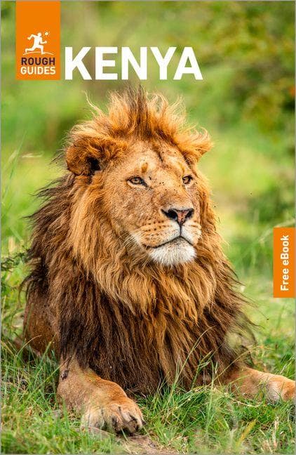 Rough Guides Kenya: Travel Guide with eBook