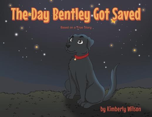 The Day Bentley Got Saved