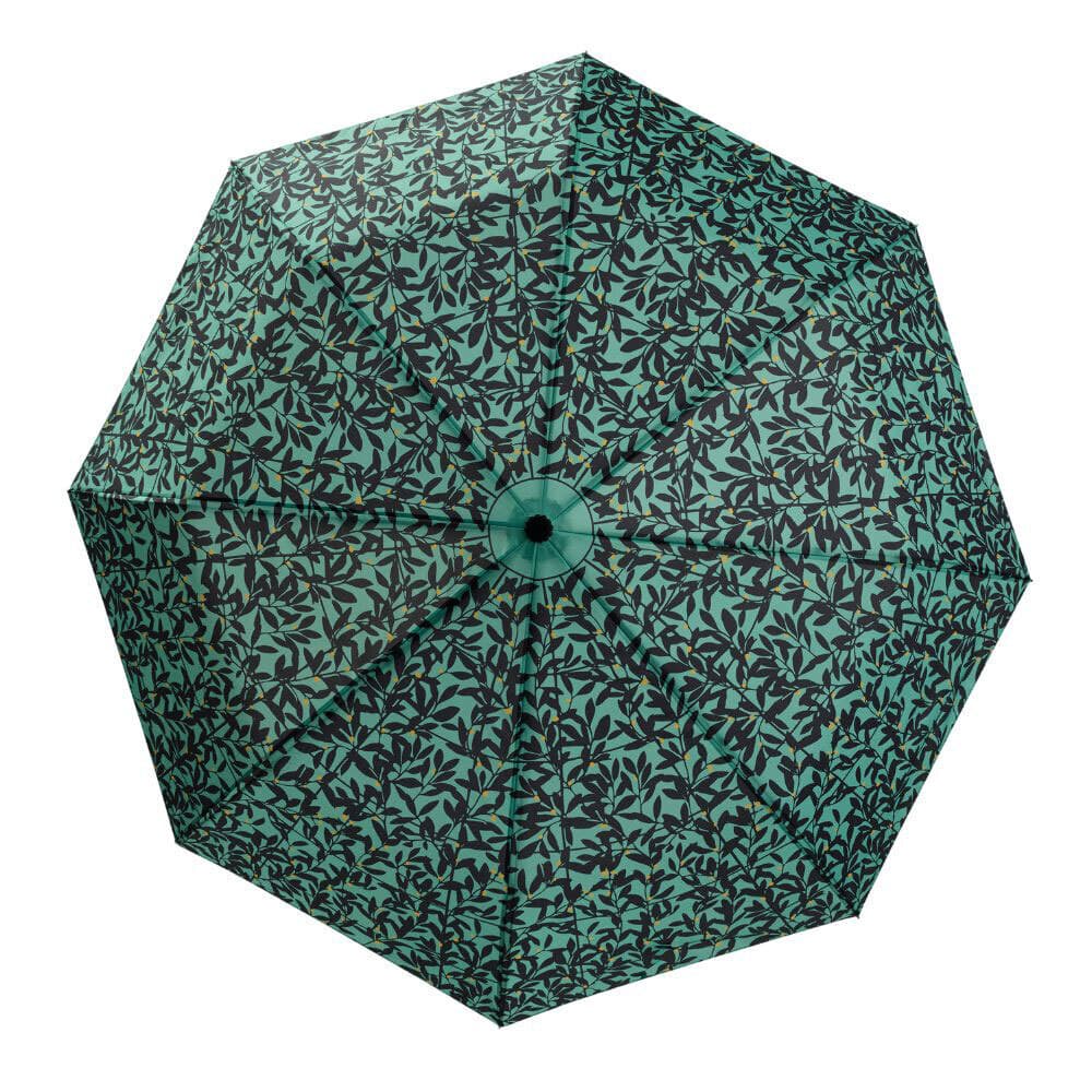 Easy Umbrella Secession