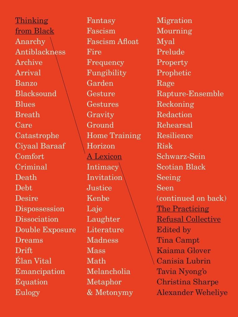 Thinking from Black: A Lexicon