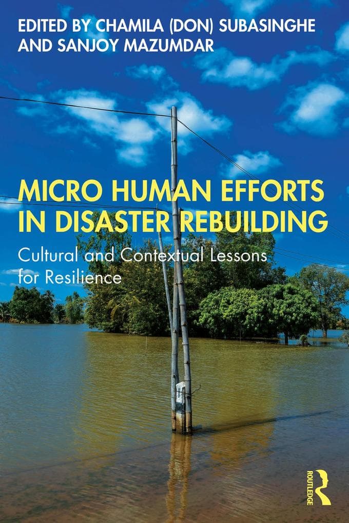 Micro Human Efforts in Disaster Rebuilding