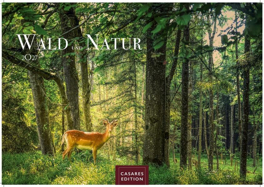 Wald & Natur Kalender 2027 - Wandkalender | Fotokalender Naturkalender 24x 35cm - Natürliche Schönheit & Ruhe für jeden Monat .