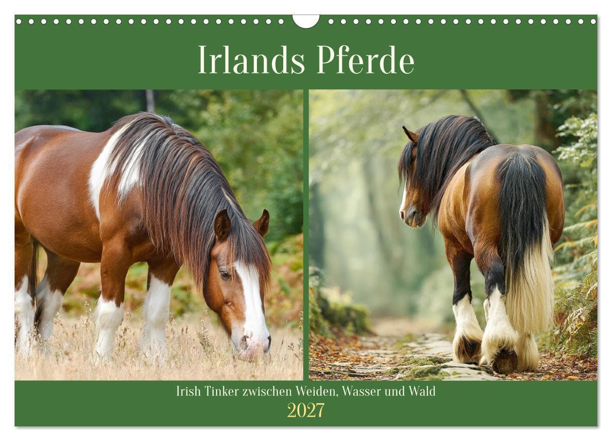 Irlands Pferde. Irish Tinker zwischen Weiden, Wasser und Wald (Wandkalender 2027 DIN A3 quer), CALVENDO Monatskalender
