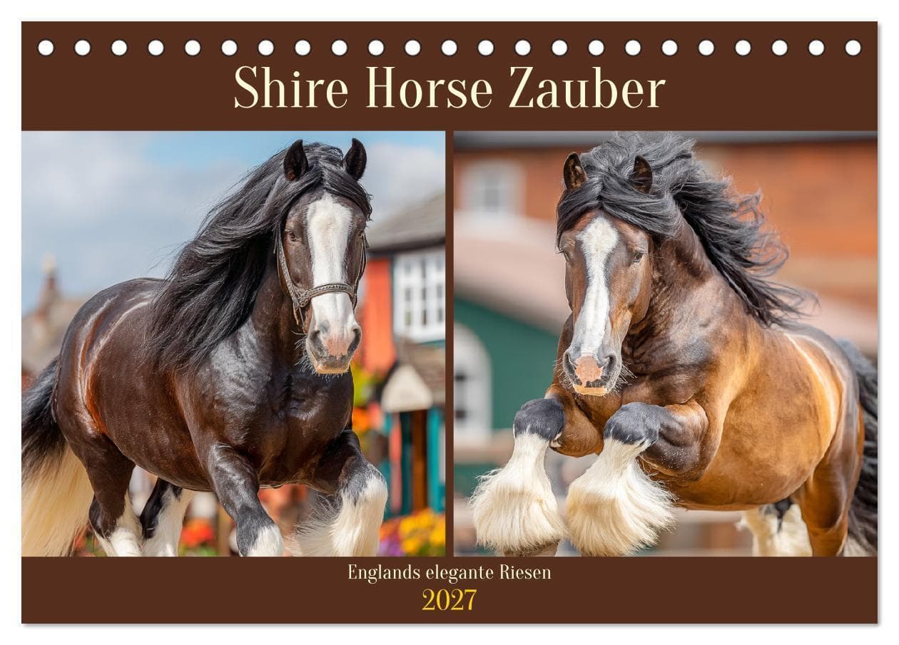 Shire Horse Zauber. Englands elegante Riesen (Tischkalender 2027 DIN A5 quer), CALVENDO Monatskalender