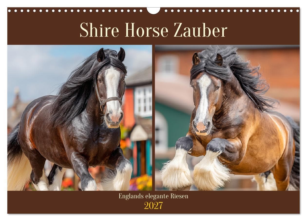 Shire Horse Zauber. Englands elegante Riesen (Wandkalender 2027 DIN A3 quer), CALVENDO Monatskalender