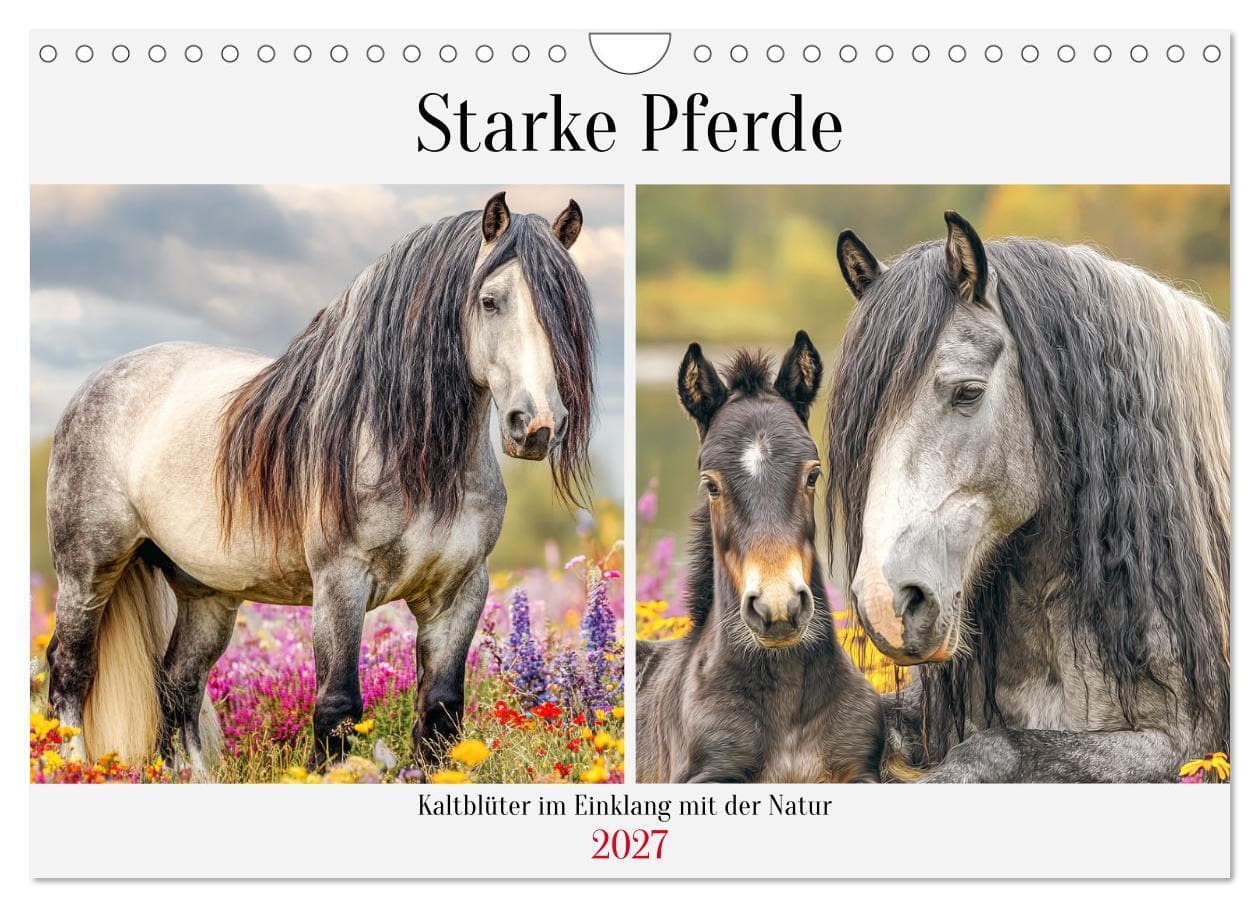 Starke Pferde. Kaltblüter im Einklang mit der Natur (Wandkalender 2027 DIN A4 quer), CALVENDO Monatskalender