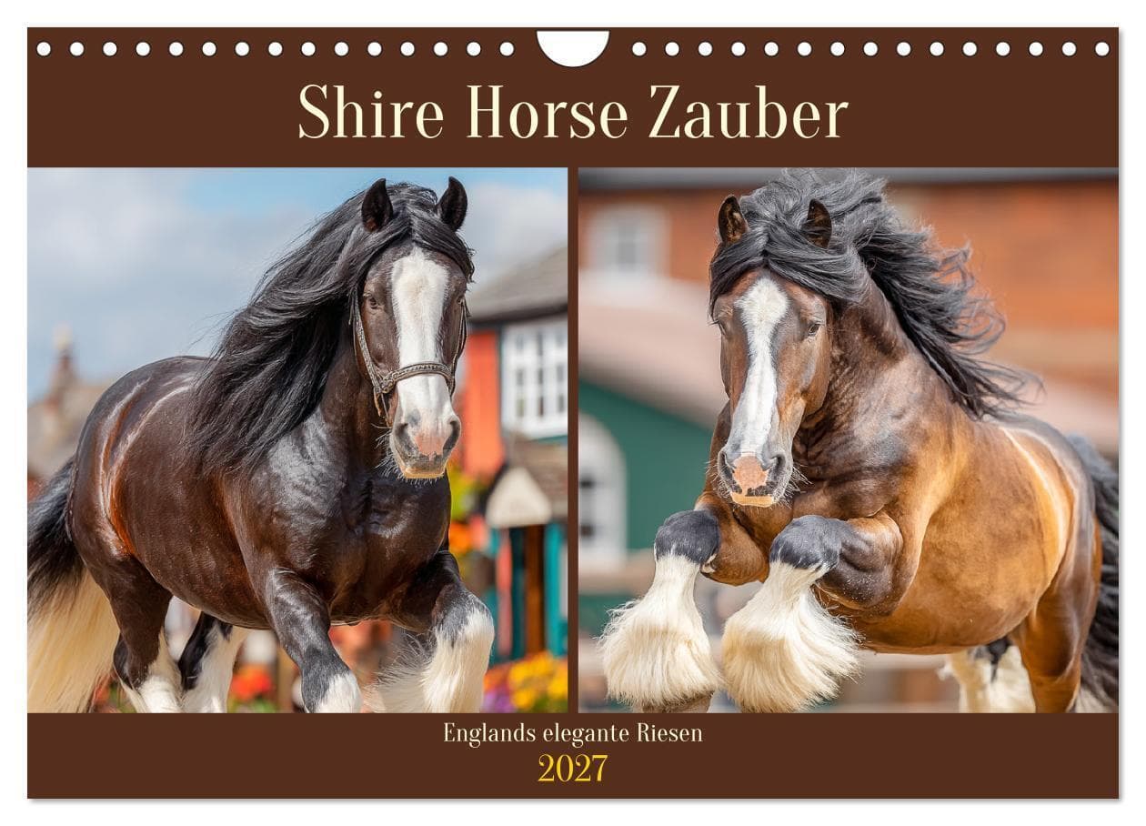 Shire Horse Zauber. Englands elegante Riesen (Wandkalender 2027 DIN A4 quer), CALVENDO Monatskalender