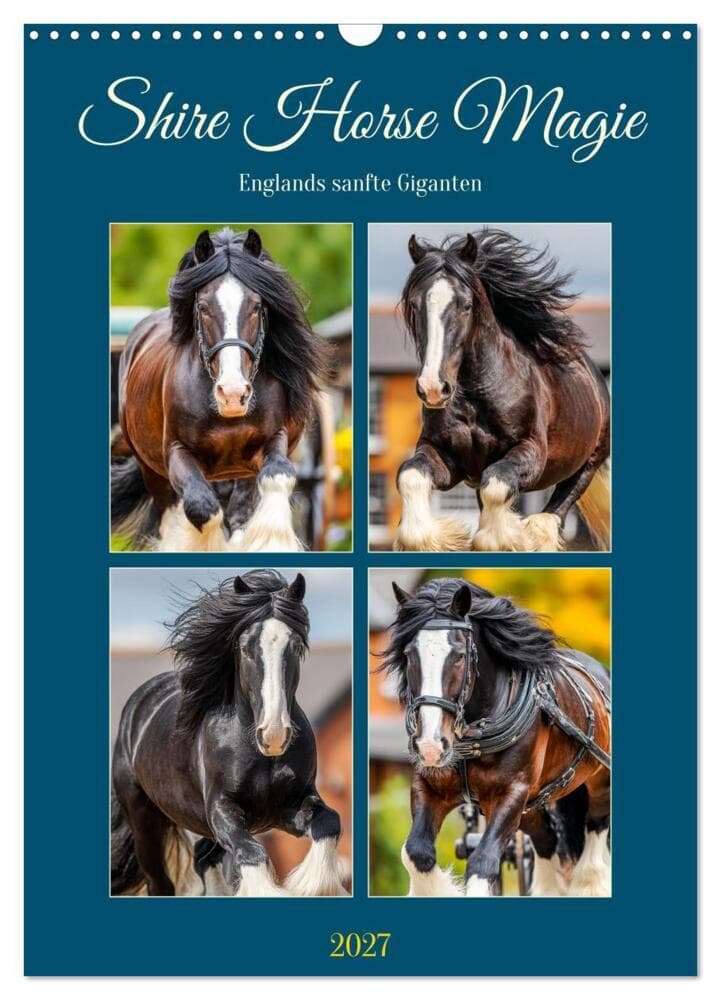 Shire Horse Magie. Englands sanfte Giganten (Wandkalender 2027 DIN A3 hoch), CALVENDO Monatskalender