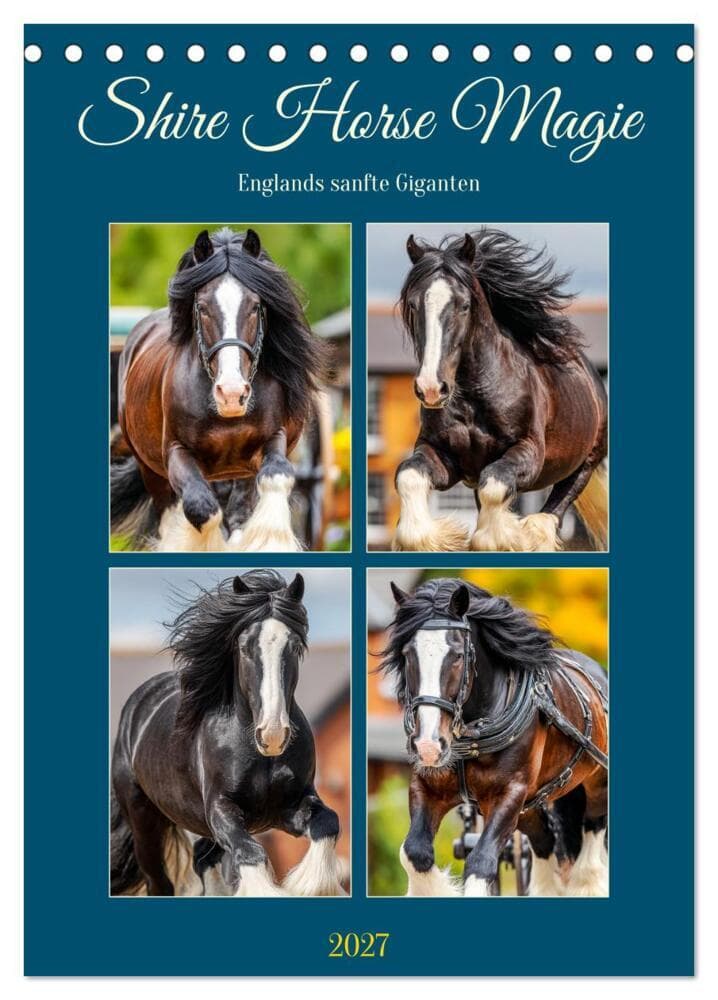 Shire Horse Magie. Englands sanfte Giganten (Tischkalender 2027 DIN A5 hoch), CALVENDO Monatskalender