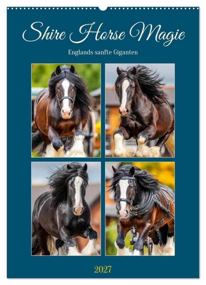 Shire Horse Magie. Englands sanfte Giganten (Wandkalender 2027 DIN A2 hoch), CALVENDO Monatskalender