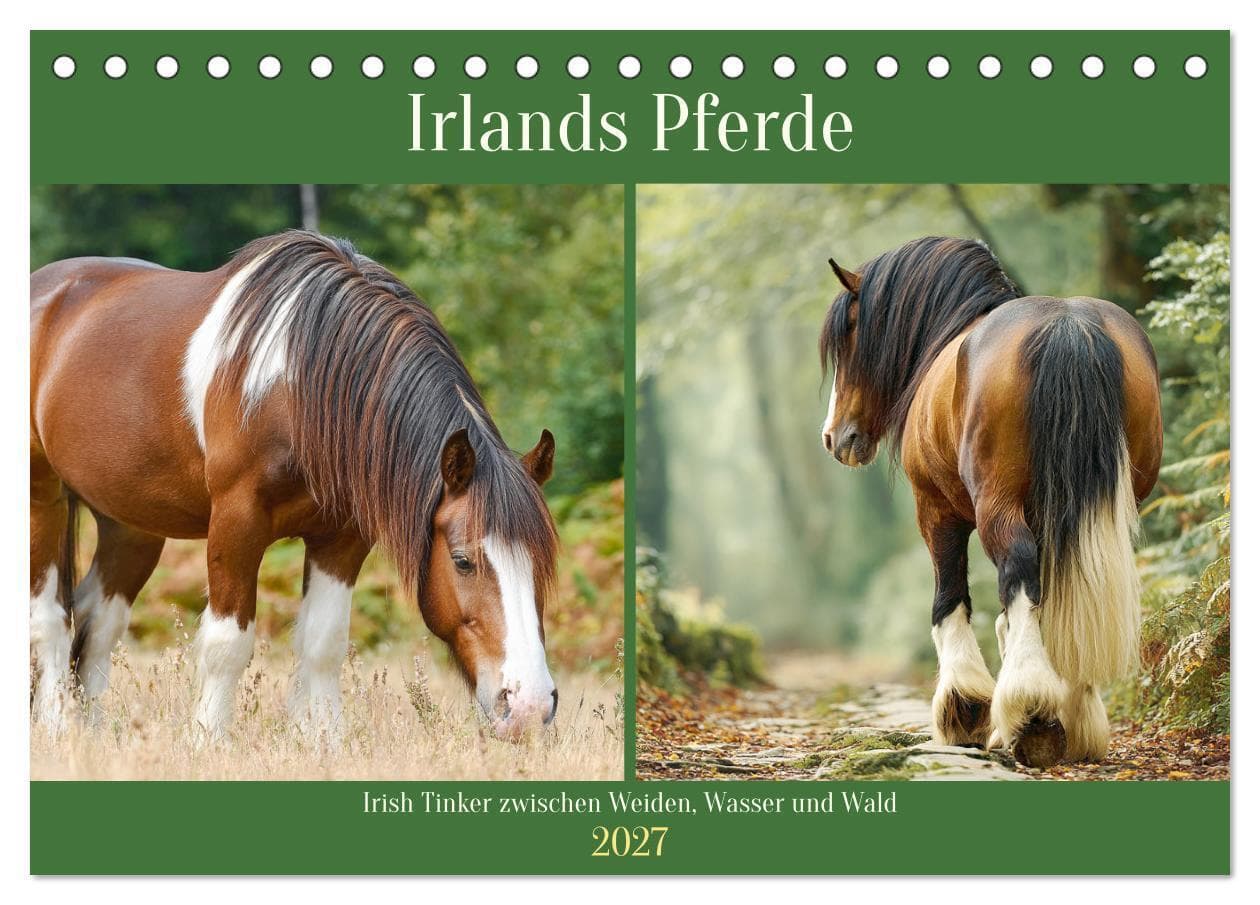 Irlands Pferde. Irish Tinker zwischen Weiden, Wasser und Wald (Tischkalender 2027 DIN A5 quer), CALVENDO Monatskalender