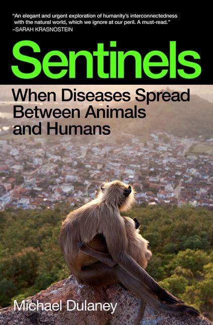 Sentinels