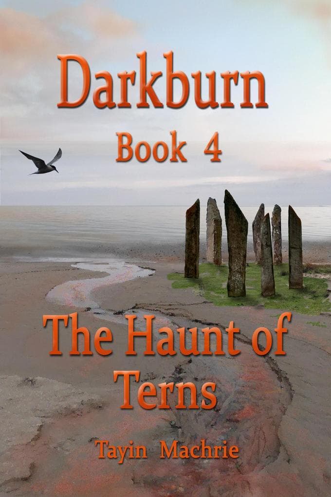 Darkburn Book 4: The Haunt of Terns