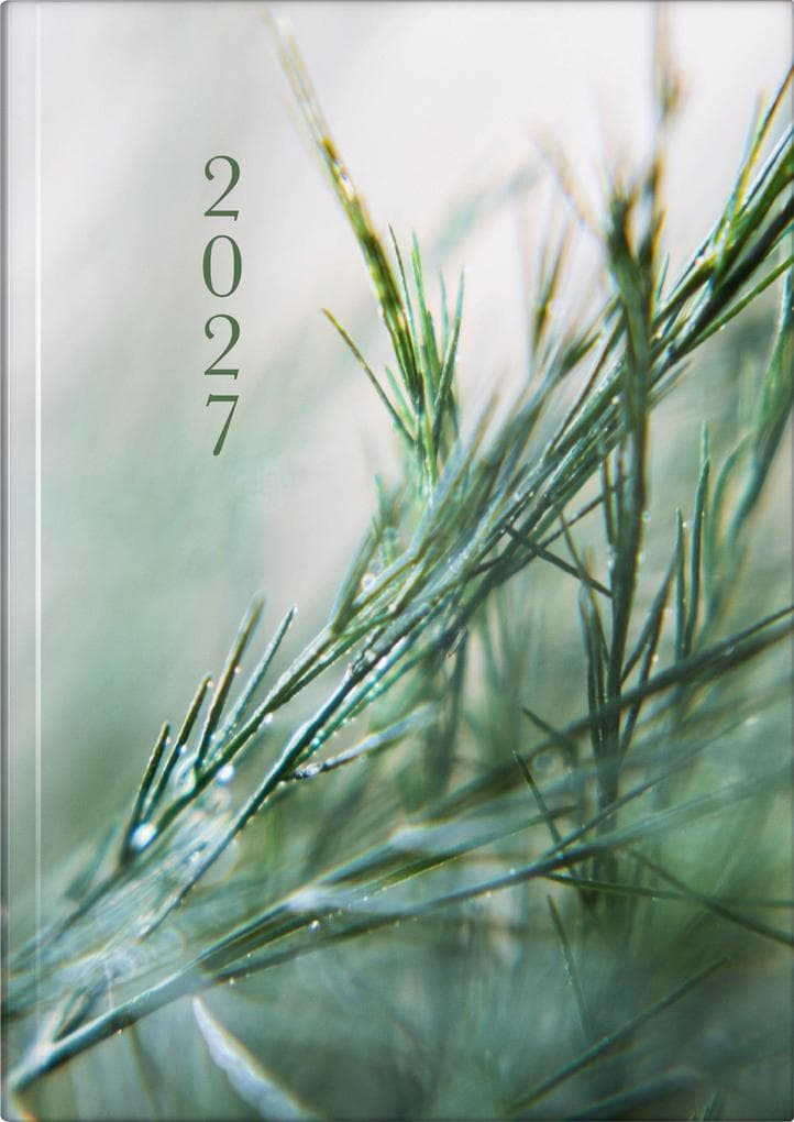 rido/idé 7021507017 Buchkalender Premium Young Line 2027 "Greeny" A5, Papier