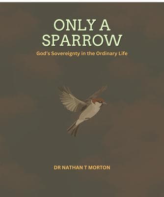 Only A Sparrow