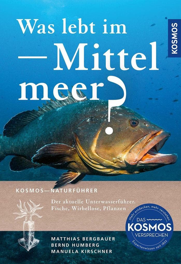 Was lebt im Mittelmeer?