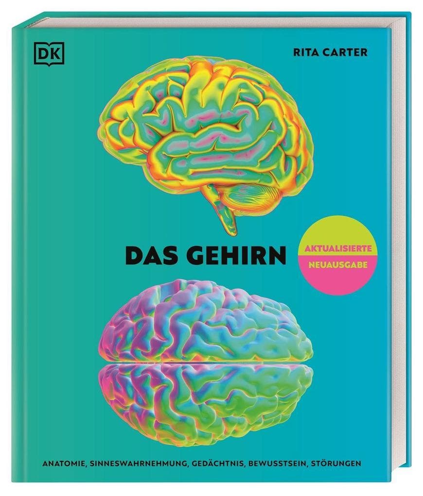 Das Gehirn
